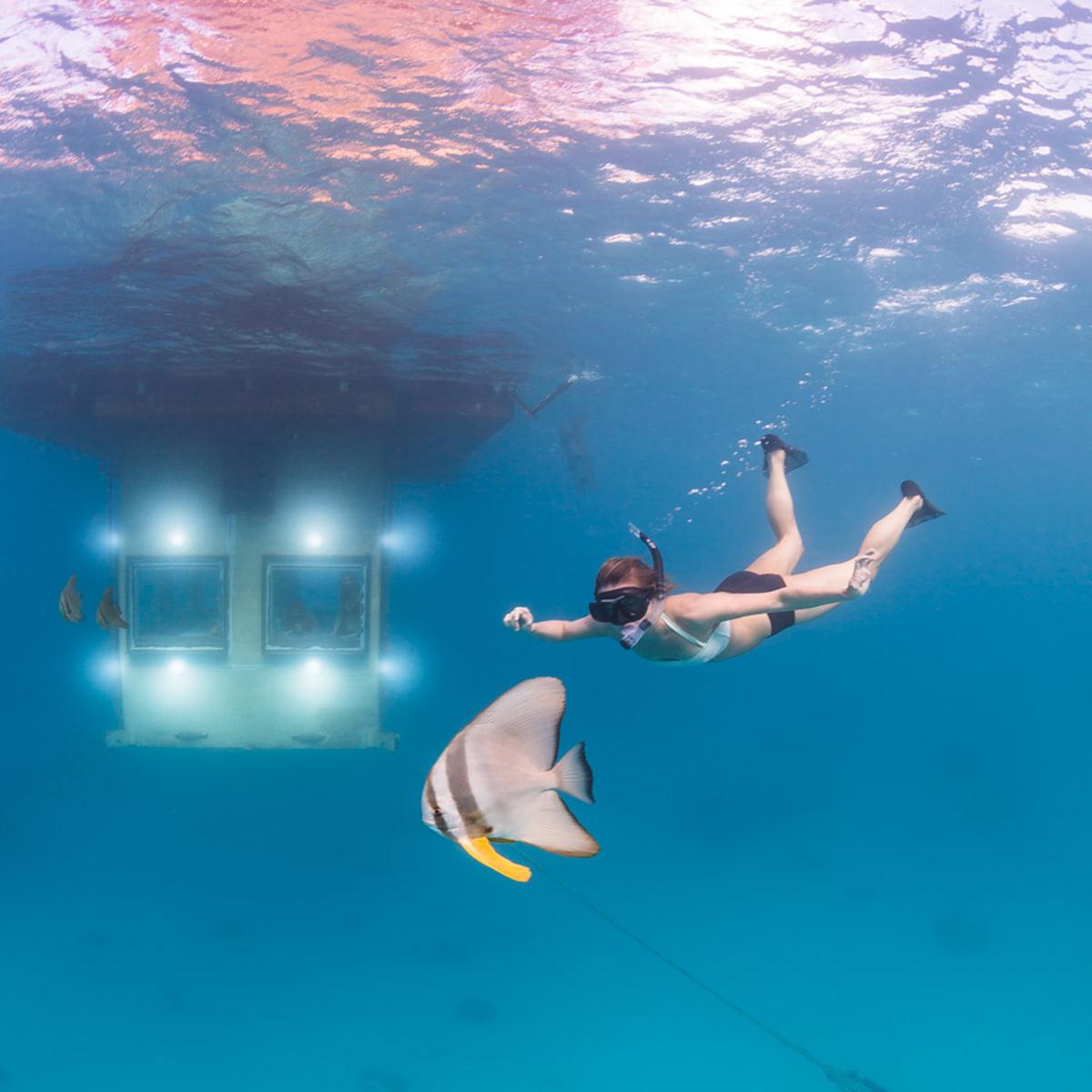 photo d'un plongeur dans au pied de l'hotel Eau du groupe 4 Élements