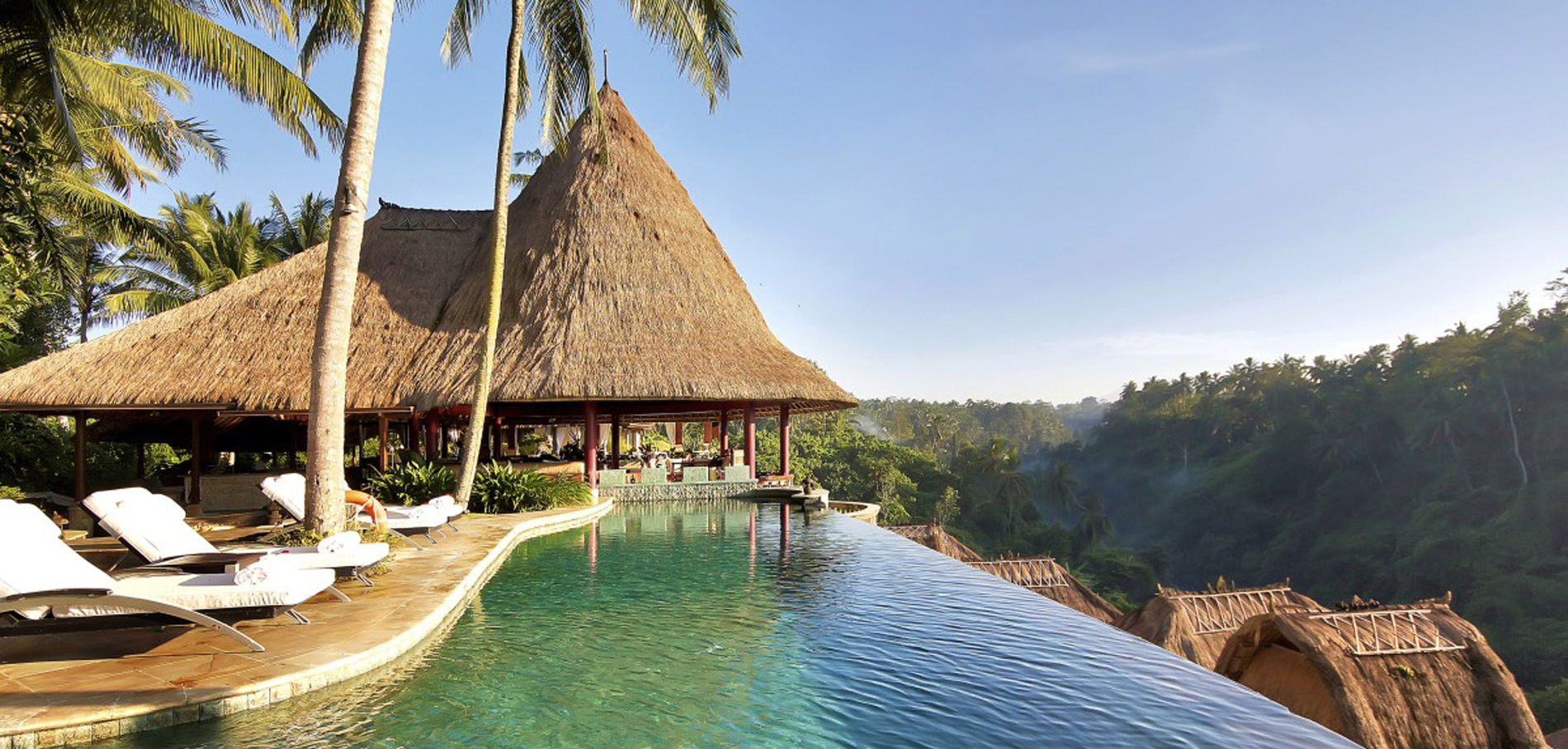 photo d'une suite avec piscine à la cime des arbres de l'hotel Air du groupe 4 Élements